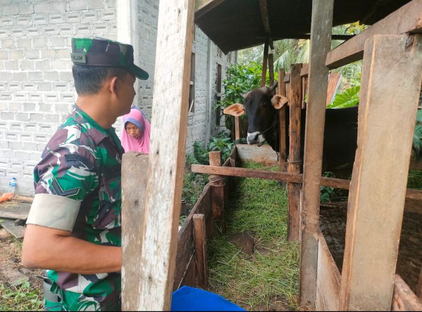 Serda Muslim Temui Peternak Sapi di Desa Lukun, Sampaikan Imbauan Terkait PMK