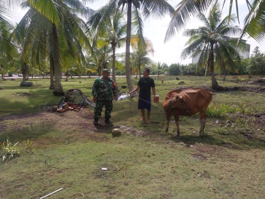 Temui Peternak Sapi di Desa Repan, Serka Subar Sosialisasi Terkait PMK