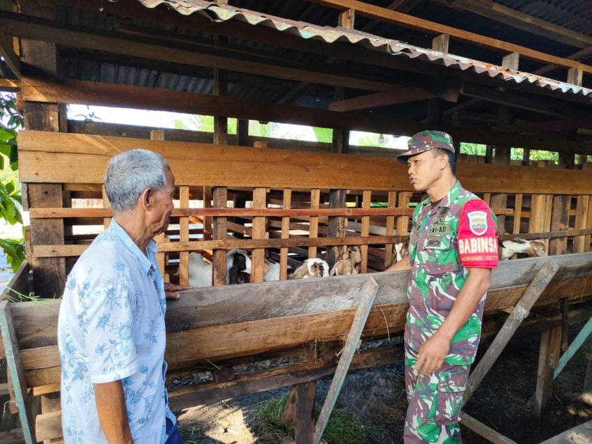 Cegah PMK, Sertu Rudi R Temui Peternak Kambing di Desa Sendaur