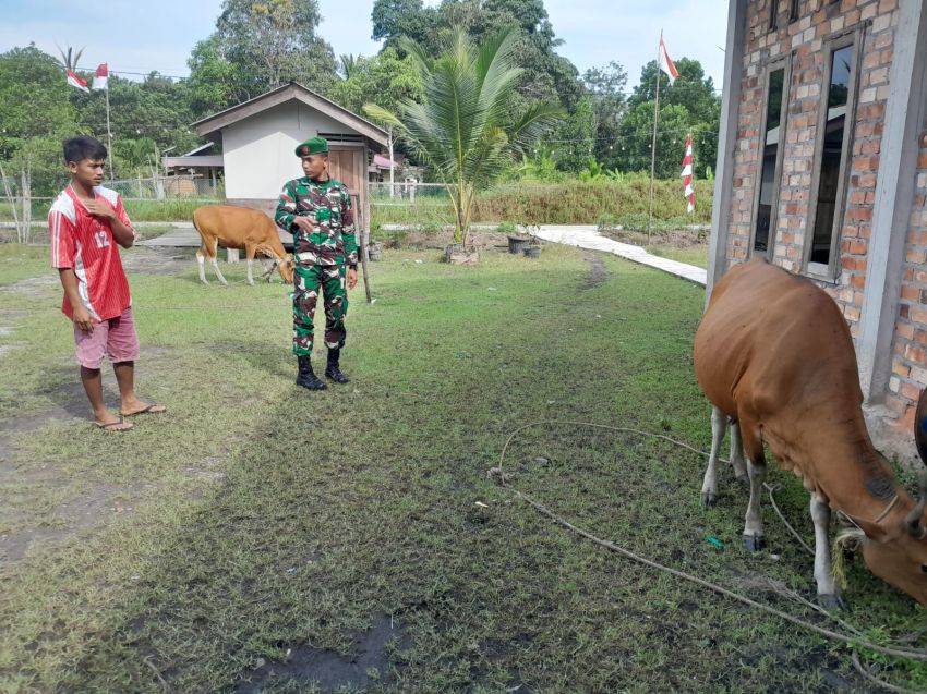 Pratu Prayoga Situmorang Terus Monitoring Ternak Warga Desa Binaan