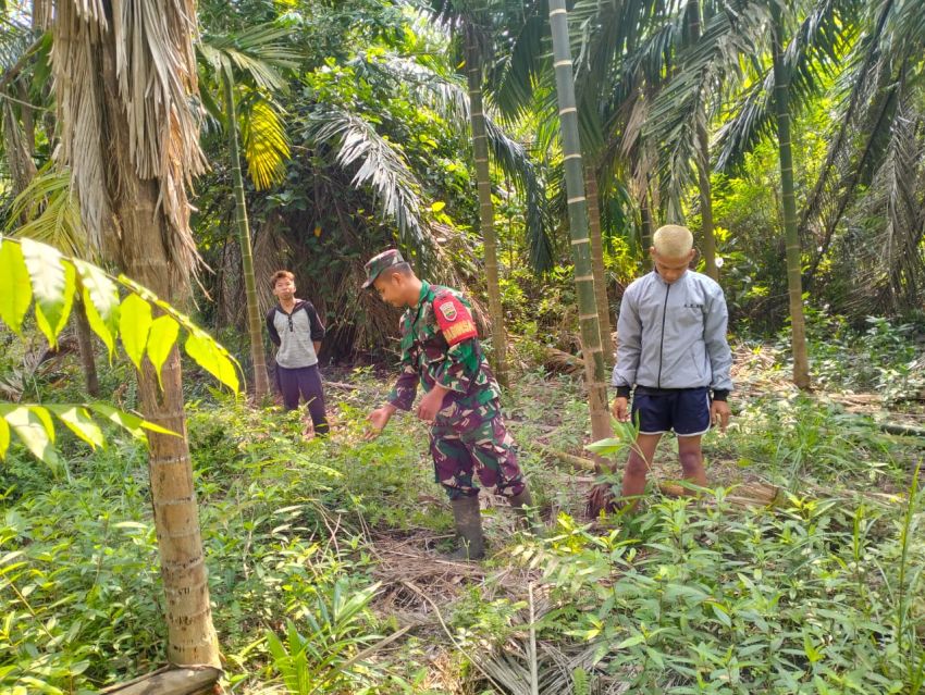 Pratu James T Gulo Bersama Warga Gemala Sari Kembali Patroli Cegah Karhutla