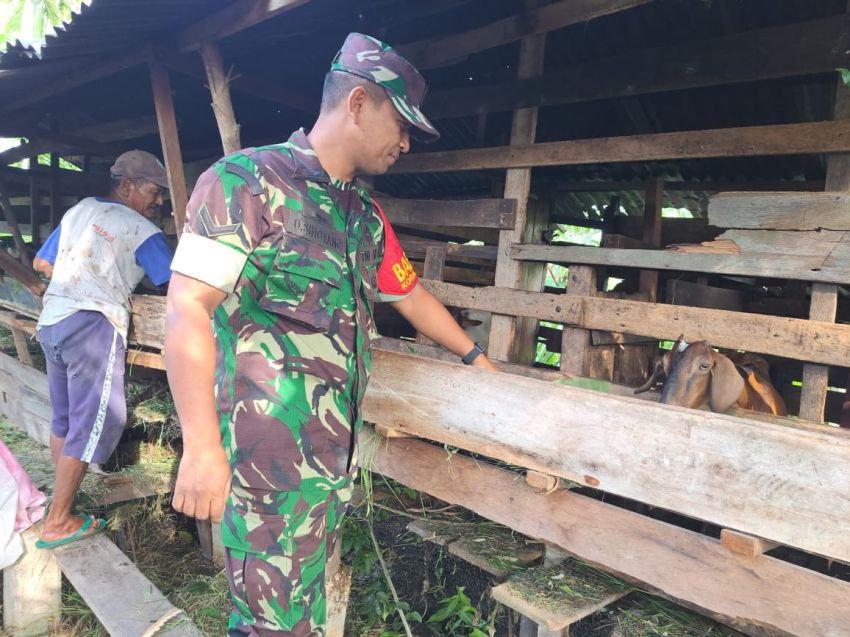 Cegah PMK, Serda Darwono Sihotang Temui Peternak Kambing di Desa Tanjung