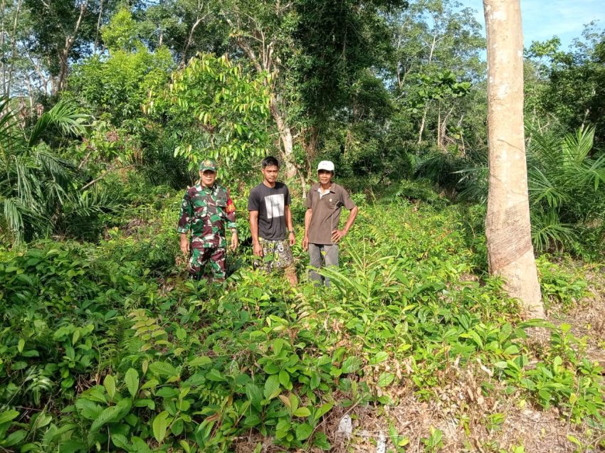 Babinsa Koramil 02 Tebingtinggi Serda Imam Subarkah Patroli Karhutla di Desa Topang
