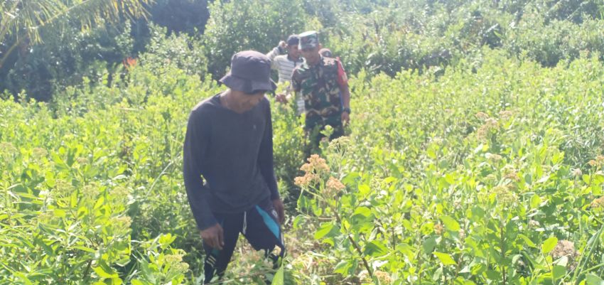 Patroli Karhutla di Telaga Baru, Pratu Angga Pebrihadi Imbau Warga Tak Bakar Lahan