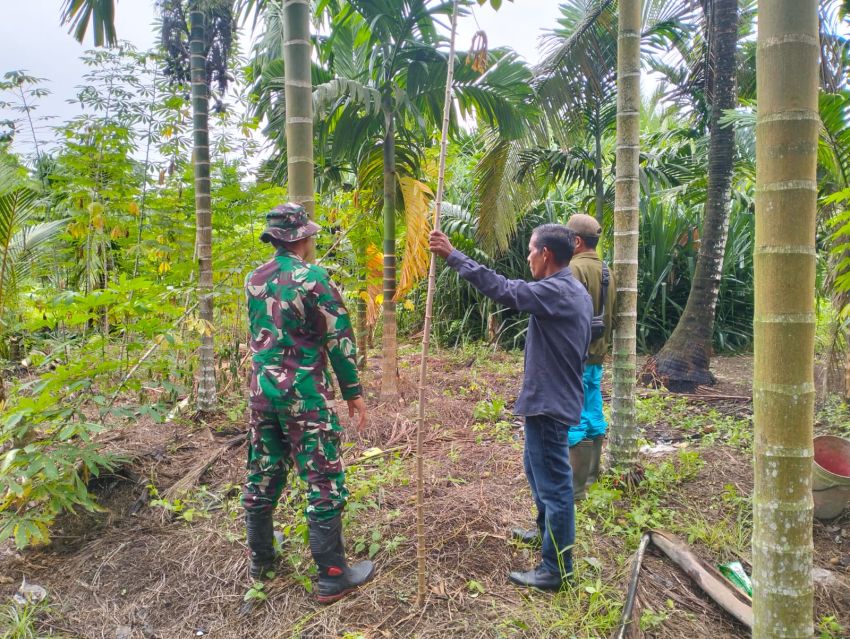 Patroli Karhutla di Desa Gemala Sari, Pratu James T Gulo Imbau Warga Tak Bakar Lahan