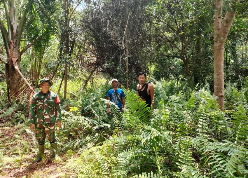 Sertu Muslim Bersama Warga Tanjung Peranap Gelar Patroli Karhutla, Pantau Titik Rawan