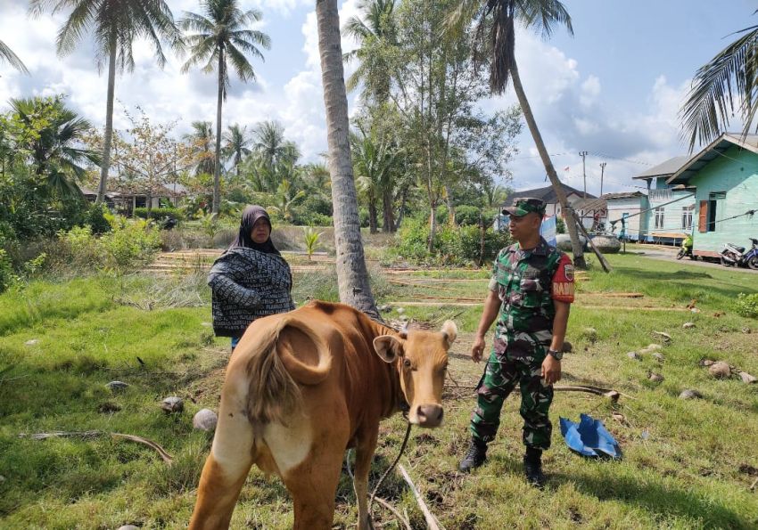 Babinsa Koramil 02 Tebingtinggi Serda Muslim Rutin Cek Ternak Warga Tanjung Peranap