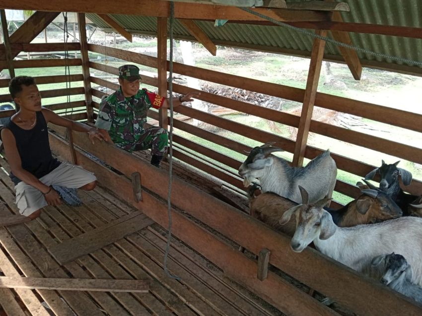 Serda Imam Subarkah Terus Monitoring Kesehatan Ternak Warga di Desa Topang