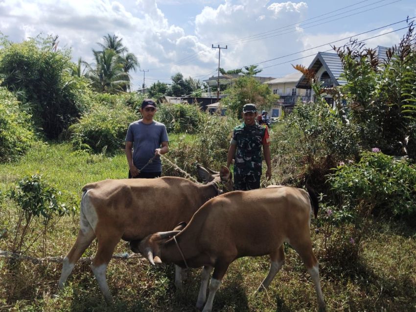 Babinsa Koramil 02 Tebingtinggi Praka Firdaus Rutin Cek Ternak Warga Batin Suir