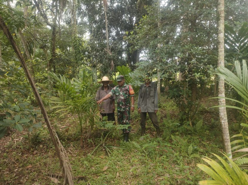Cegah Karhutla, Serda Herman Saputra Bersama Warga Nipah Sendanu Gencar Patroli