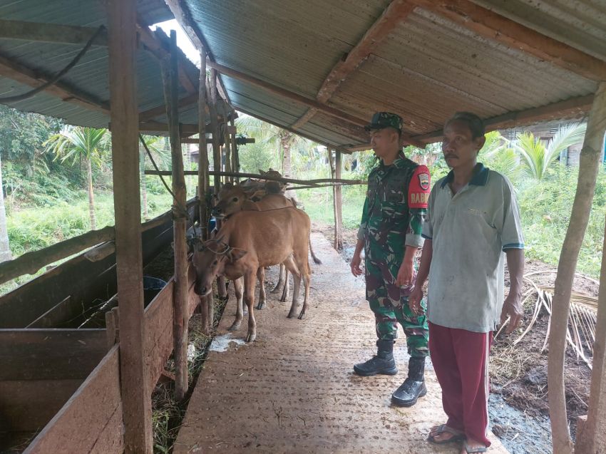 Cegah PMK Hewan, Pratu Aldimas Rizki Temui Peternak Sapi di Desa Mekong