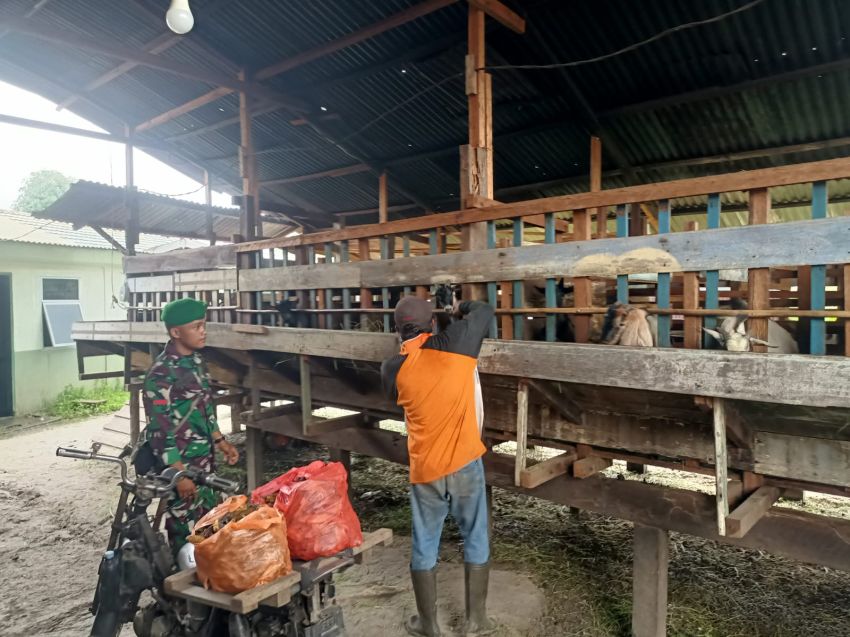 Pratu Riski Nurdiansyah Terus Monitoring Kesehatan Ternak Warga di Desa Banglas