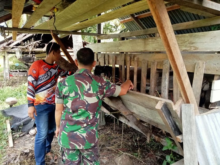 Babinsa Koramil 02 Tebingtinggi Koptu Muherli Rutin Cek Ternak Warga Tenan