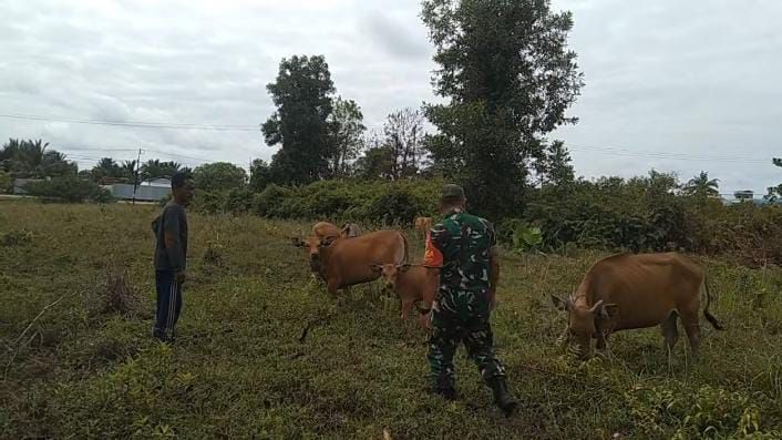 Serka E Sembiring Terus Monitoring Kesehatan Ternak Warga di Desa Bantar
