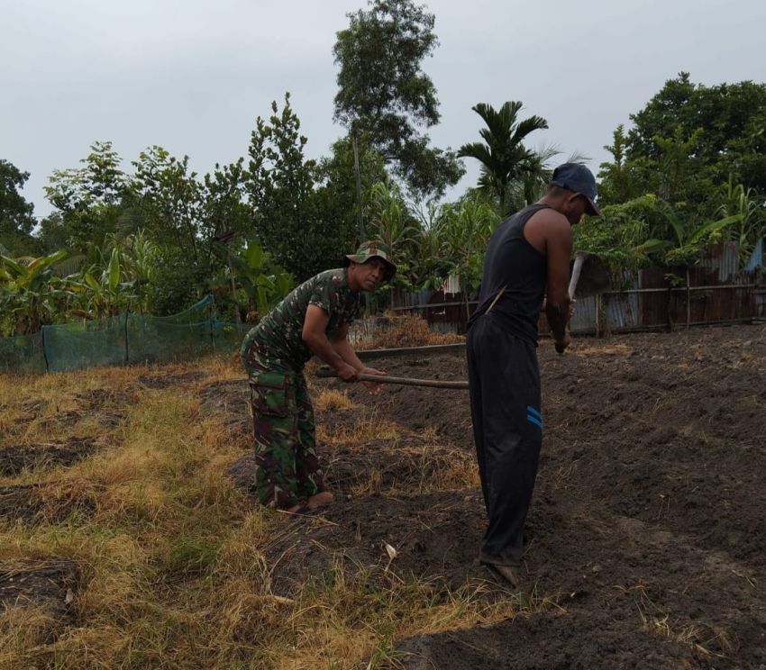 Babinsa Koramil 02 Tebingtinggi Turun Langsung Bantu Petani untuk Program Hanpangan