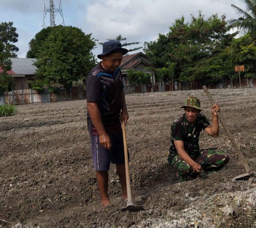Dukung Hanpangan, Babinsa Koramil 02 Tebingtinggi Motivasi Petani