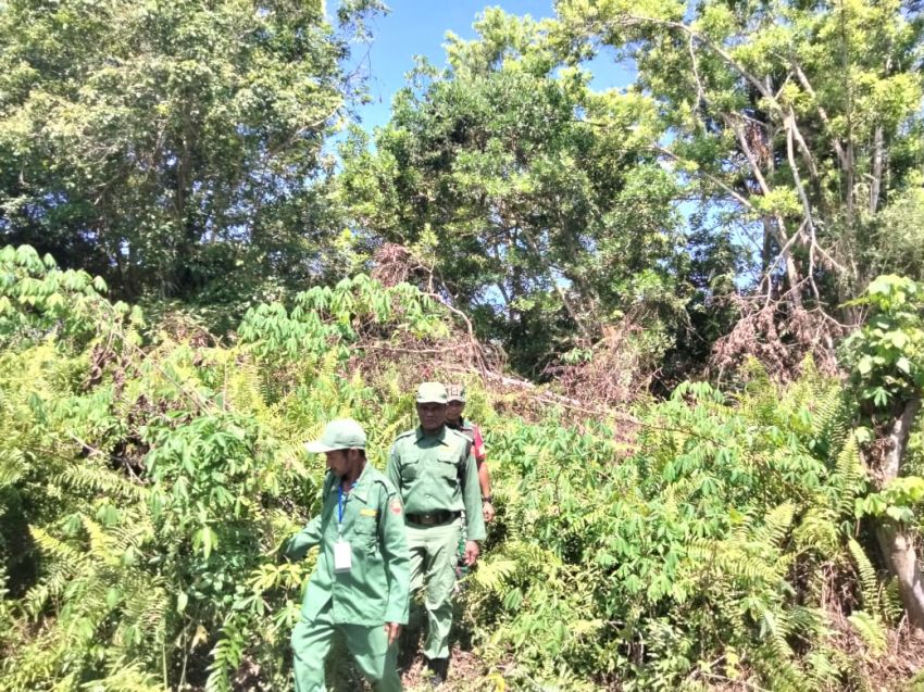 Antisipasi Terjadi Karhutla, Serda Lasidi Bersama Linmas Gelar Patroli di Desa Kayu Ara