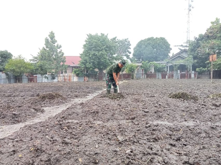 Dukung Ketahanan Pangan, Babinsa Koramil 02 Tebingtinggi Bantu Petani Dalam Pengolahan Lahan