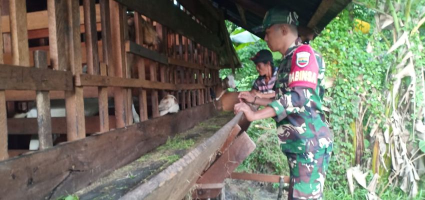 Pratu Angga Pebrihadi Kunjungi Peternak Kambing di Desa Telaga Baru, Upaya Cegah PMK