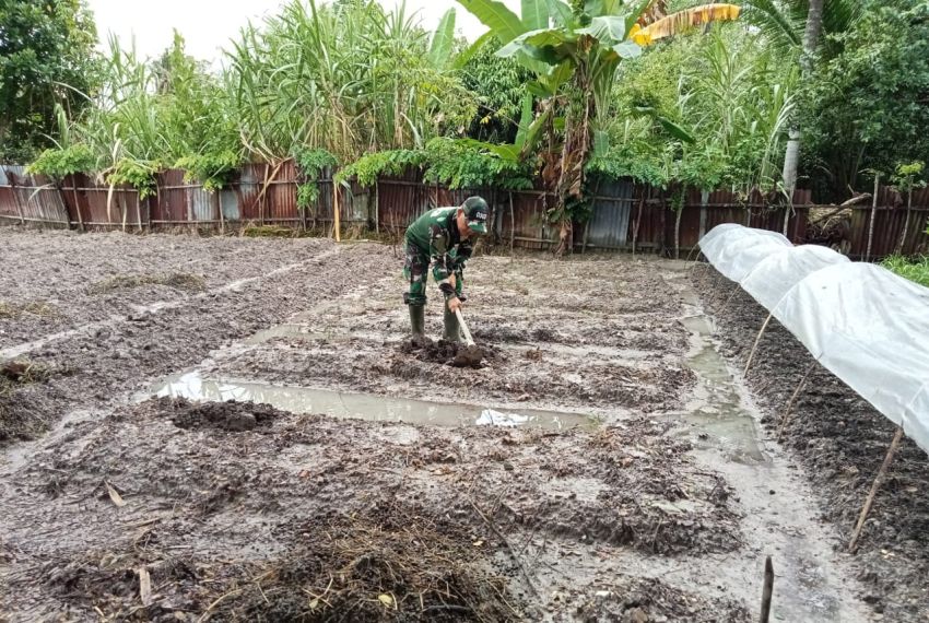 Tingkatkan Hanpangan, Babinsa Koramil 02 Tebingtinggi Dampingi Petani Cabe Rawit