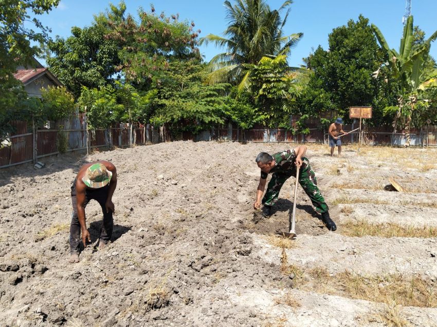 Dukung Ketahanan Pangan, Babinsa Koramil 02 Tebingtinggi Bantu Petani Dalam Penyiapan Lahan