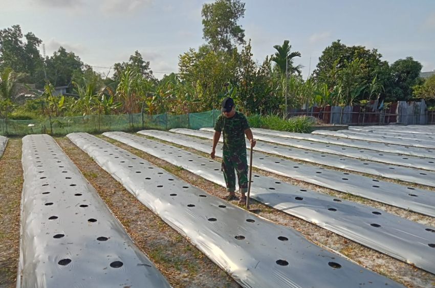 Serka Rayen Terus Lakukan Pendampingan Petani untuk Dukung Hanpangan