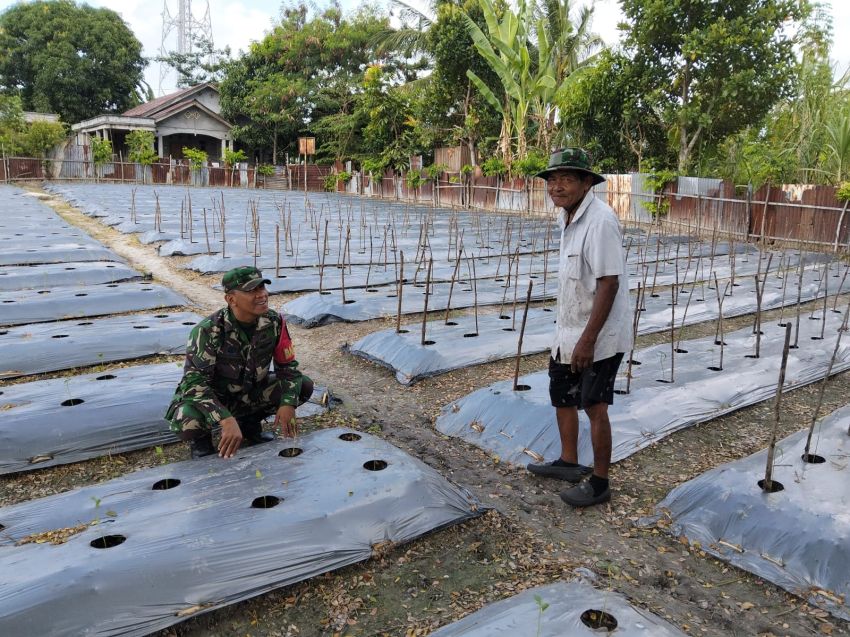 Berikan Pendampingan, Sertu Pardin Paramay Motivasi Petani di Selatpanjang Kota