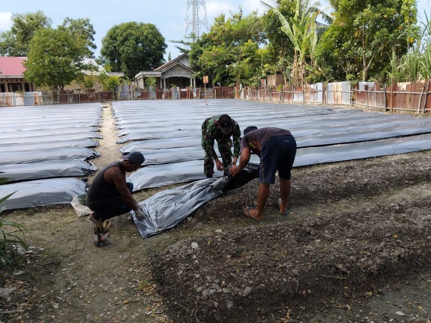 Sertu Pardin Paramay Terus Lakukan Pendampingan Petani untuk  Dukung Hanpangan