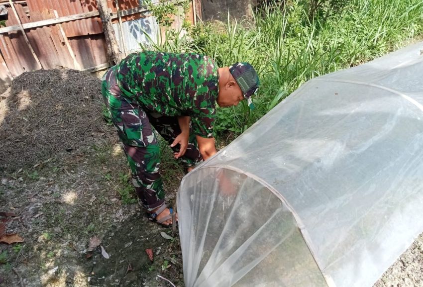 Dukung Hanpangan, Serka Rayen Lakukan Pendampingan Petani di Selatpanjang Kota