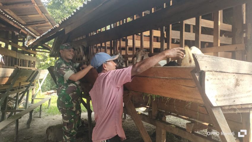 Serda Eka Rafiz Monitoring Kesehatan Kambing di Desa Lukun, Pastikan Ternak Warga Bebas PMK