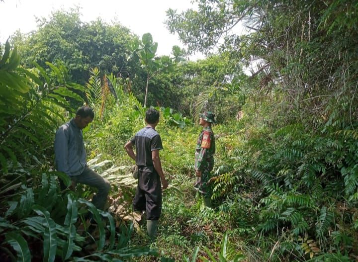 Cegah Karhutla, Serda Amsyaya Bersama Warga Patroli di Desa Insit