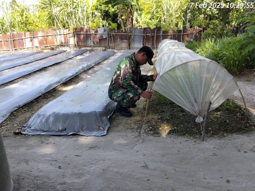 Berikan Pendampingan, Sertu Pardin Paramay Lakukan Kunjungi Petani di Selatpanjang Kota