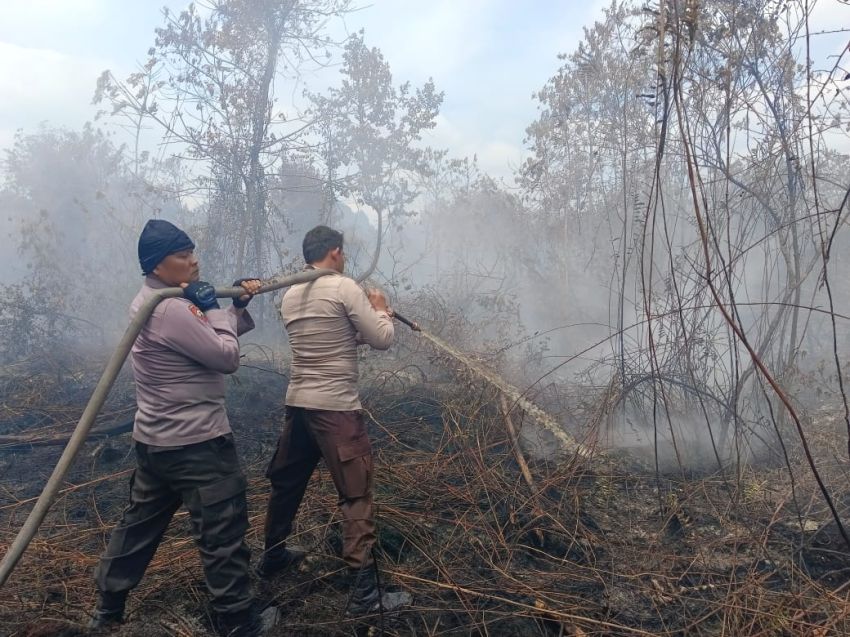 Kapolsek Tebingtinggi Barat IPTU Iskandar Bersama Tim Berjibaku Padamkan Karhutla di Tanjung Peranap