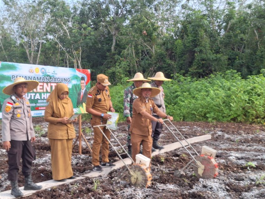 Setengah Hektar Lahan di Mapolsek Rangsang Barat Ditanami Bibit Jagung Pipil