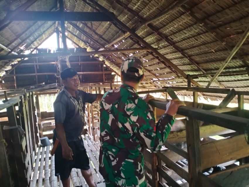 Pratu James T Gulo Rutin Monitoring Kesehatan Ternak Warga Penyagun