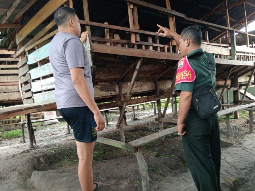 Pastikan Ternak Warga Bebas PMK, Serka Anton Kunjungi Peternak Kambing di Desa Tanjung Kedabu
