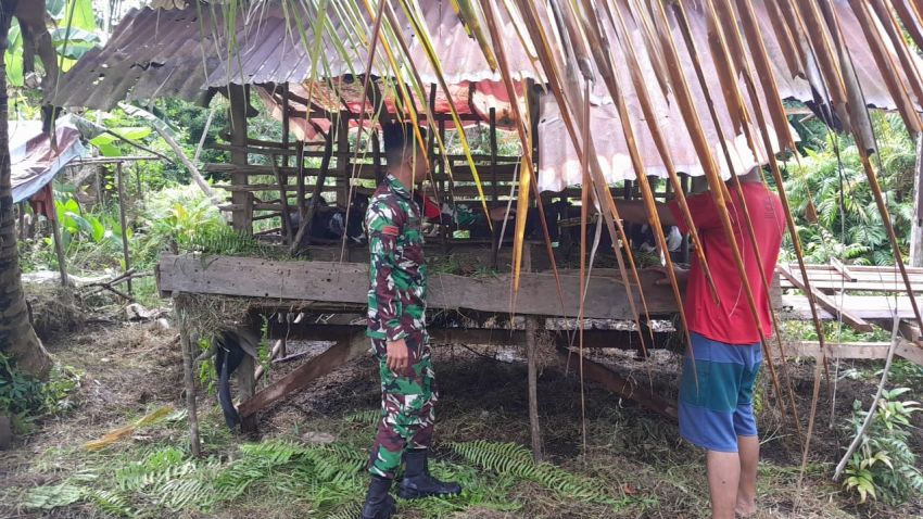 Pratu Prayoga Rutin Monitoring Kesehatan Ternak Warga di Desa Mantiasa