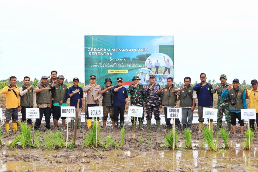 Bupati Asmar Tanam Padi Serentak Bersama Presiden Prabowo