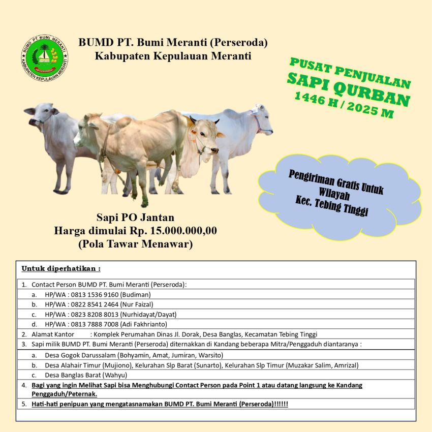BUMD Meranti Sediakan Sapi Qurban Idul Adha dengan Harga Terjangkau