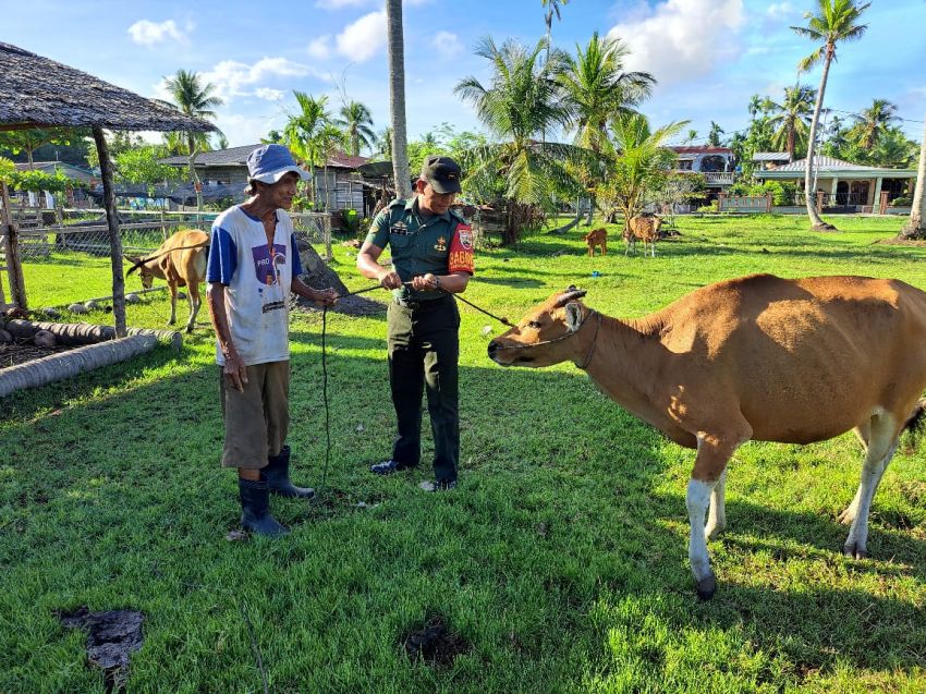 Pastikan Ternak Warga Bebas PMK, Serda Darwono Sihotang Temui Peternak Sapi di Desa Binaan