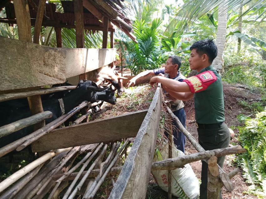 Antisipasi Adanya PMK, Pratu Edowar Cek Kesehatan Ternak Kambing Milik Warga Wonosari
