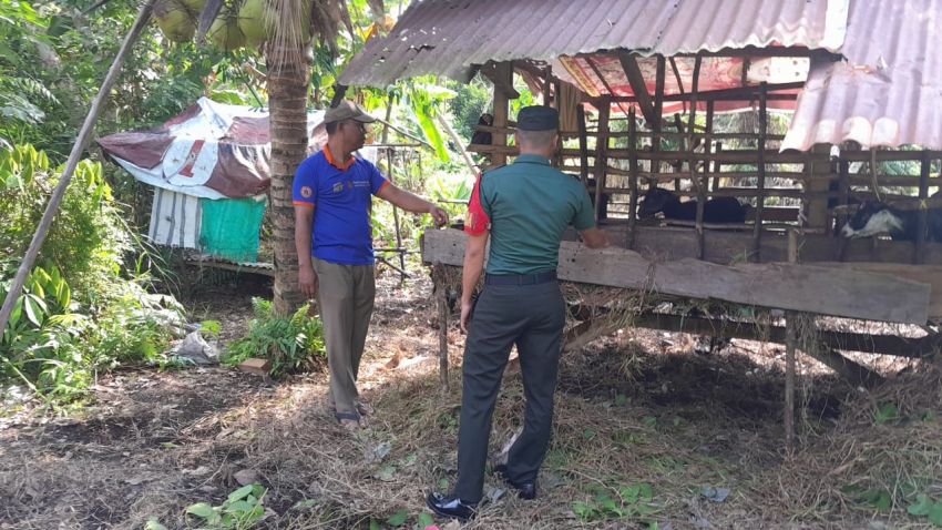 Pastikan Ternak Warga Bebas PMK, Pratu Prayoga Kunjungi Peternak Kambing di Desa Maini