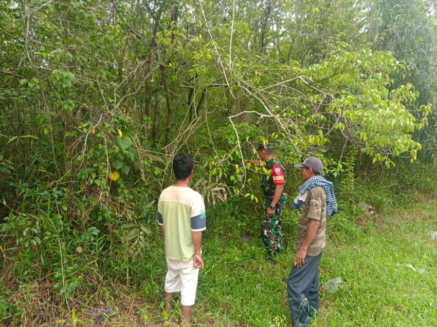 Cegah Karhutla, Serda Firman Sihotang Patroli di Tanjung Harapan