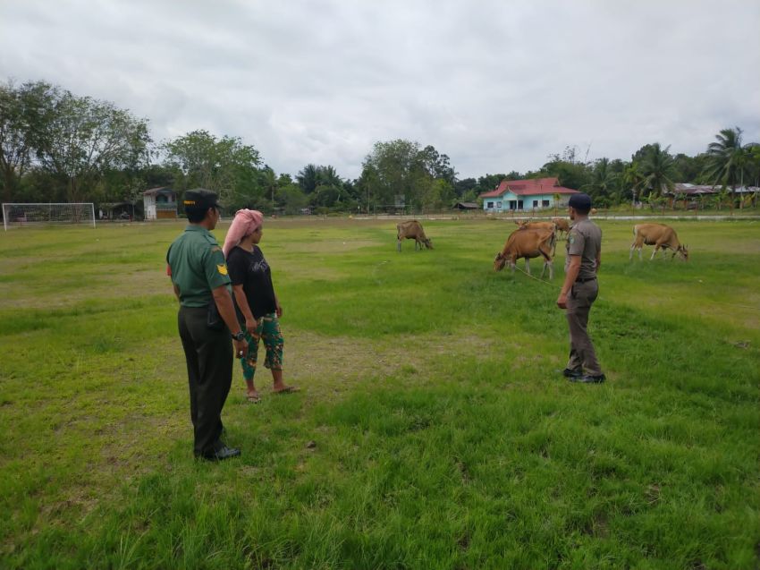 Serma Safi'i Rutin Monitoring Kesehatan Ternak Warga di Desa Mekong