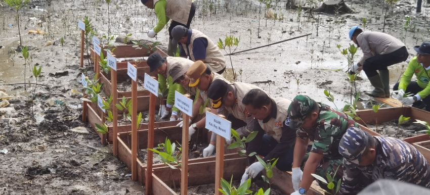 PWI, Polres, dan PT ITA Tanam Ribuan Mangrove di Desa Mekong untuk Cegah Abrasi