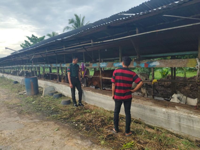 Pastikan Ternak Warga Bebas PMK, Pratu Muhammad Fahrijal Kunjungi Peternak di Desa Segomeng