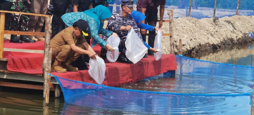 Kunker ke Meranti, Danlanal Dumai Tebar 10 Ribu Bibit Ikan Nila