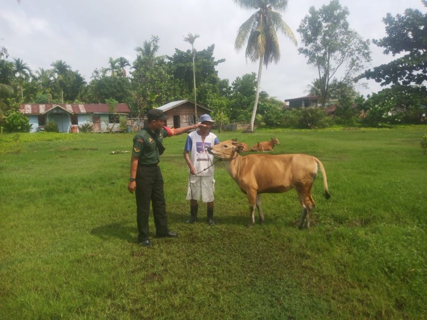 Serda Suprayitno Monitoring Kesehatan Ternak Warga di Desa Sungai Cina