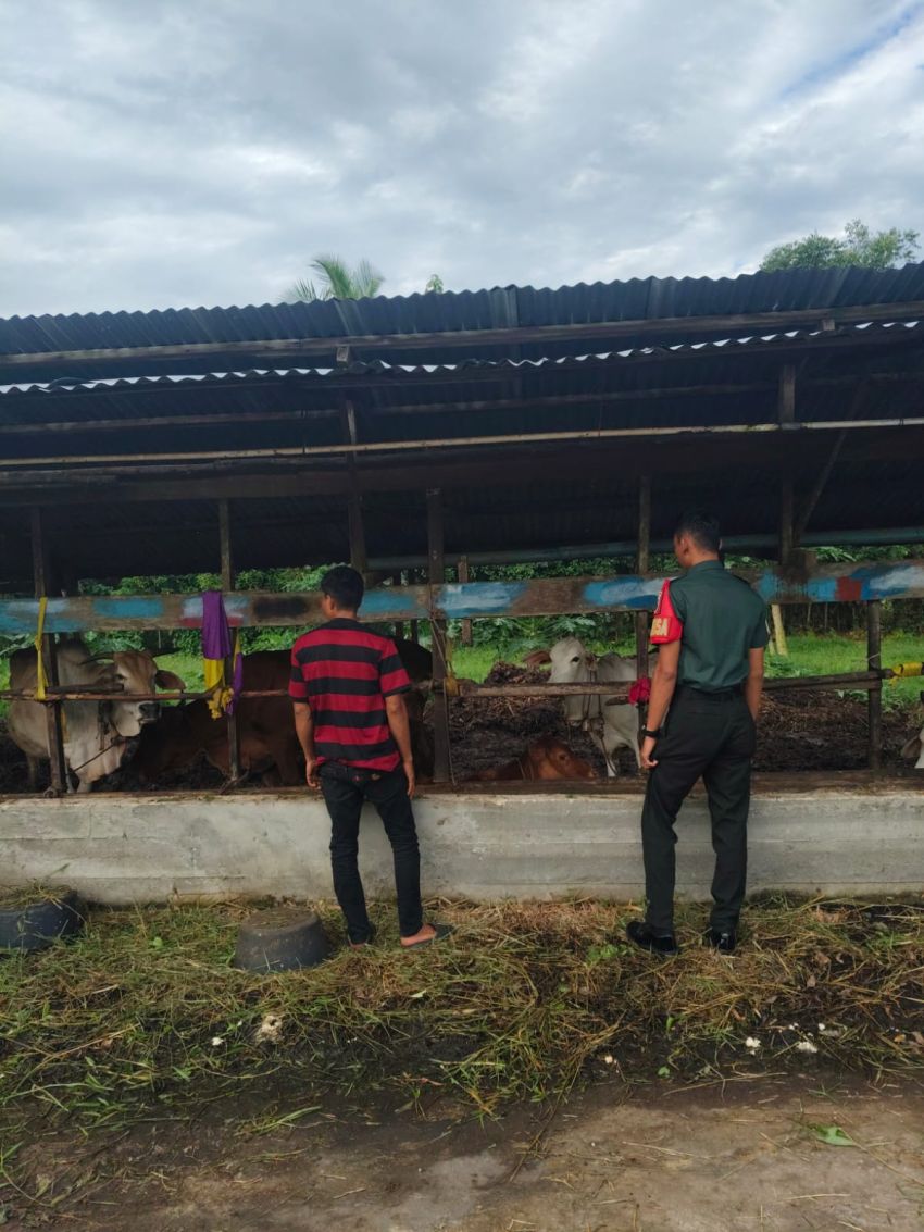 Kopda Sukarman Monitoring Kesehatan Ternak Warga di Desa Tenggayun Raya