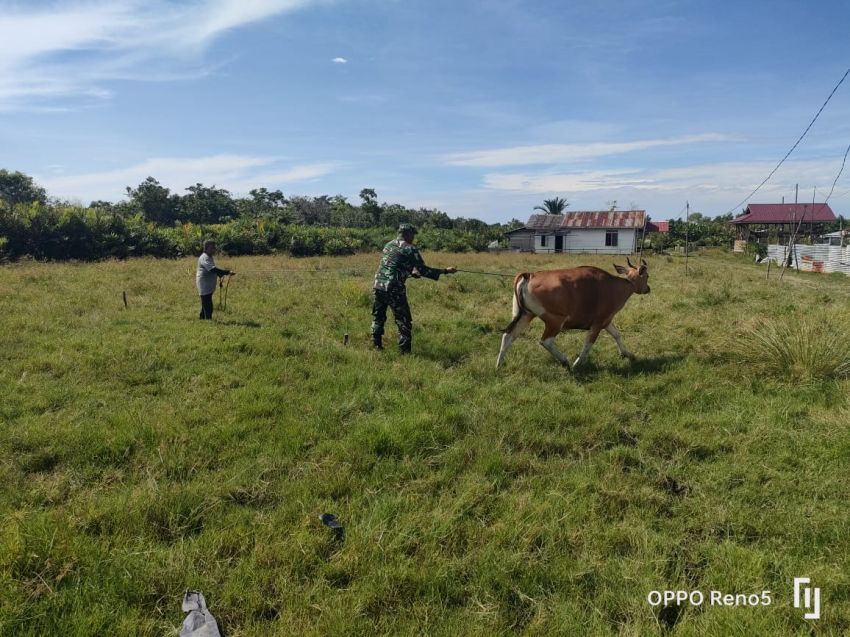 Serda Eka Rafiz Temui Peternak di Desa Lukun Sebagai Upaya Cegah PMK